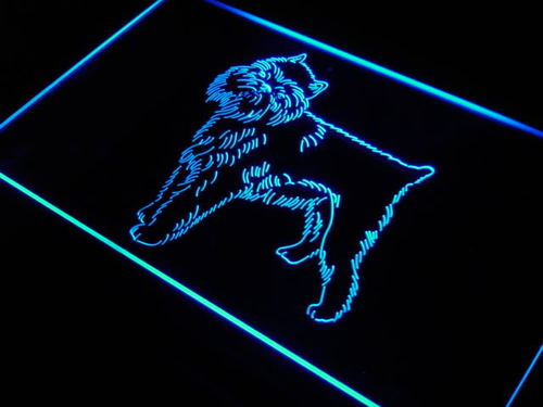 Brussels Griffon Dog Pet Display Neon Light Sign